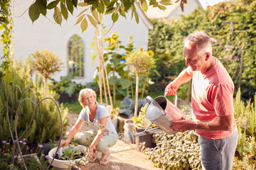 Retired Couple At Work Watering And Caring For Plants In Garden At Home