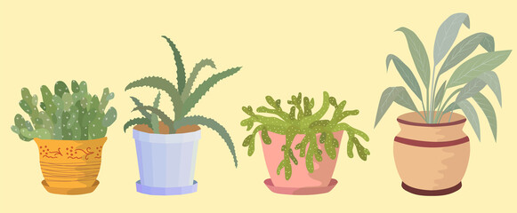Set of vector potted plants. Flat style stock vector illustration. Indoor plant for the design of postcards, magazines, web landing page.