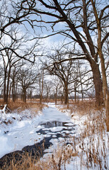 Fototapeta na wymiar 557-01 Willoway Brook in Winter