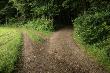Ein Weg teilt sich in zwei Wege in der Landschaft im Hotzenwald/Germany