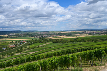 Fototapeta na wymiar Dark clouds over a vineyard landscape near the village of Cleebronn, Germany.