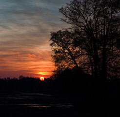 Obraz premium sunrise over the river, contour of trees against the background of the rising sun