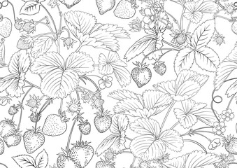 Strawberry. Ripe berries. Seamless pattern, background. Outline vector illustration. In botanical style Isolated on white background..