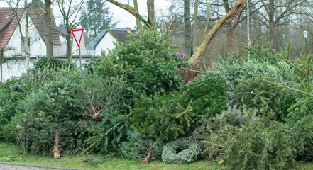 Tannenbaumentsorgung nach dem Weihnachtsfest