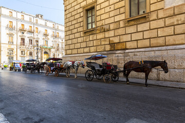 Sicilian cart in Via Maqueda in the historic center of Palermo