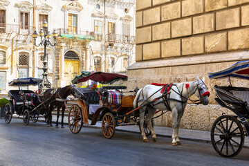 Fototapeta na wymiar Sicilian cart in Via Maqueda in the historic center of Palermo