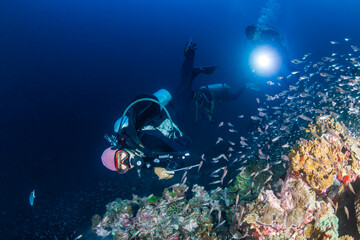 Naklejka na ściany i meble Female SCUBA diver on a tropical coral reef in Thailand