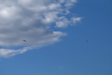 paraglider flying in the sky,sport,fun,fly,flying,plane, freedom,air,