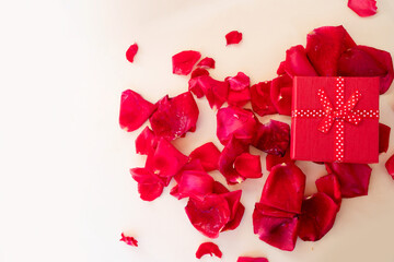 dark red roses on table