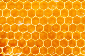 Gordijnen Achtergrondstructuur en patroon van een deel van een washoningraat van een bijenkorf gevuld met gouden honing © Aleksandr Rybalko
