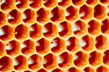 Background texture and pattern of a section of wax honeycomb from a bee hive filled with golden...
