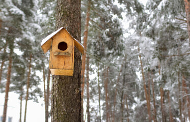 A bird house hangs on a tree trunk against the background of a winter forest. The birdhouse is waiting for the arrival of migratory birds.