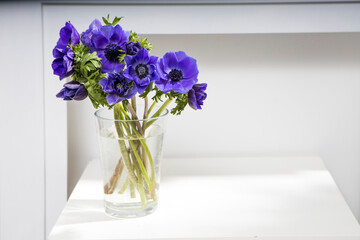 Three blue anemones in a glass beaker on a pale gray background. Vertical frame. Copy space.