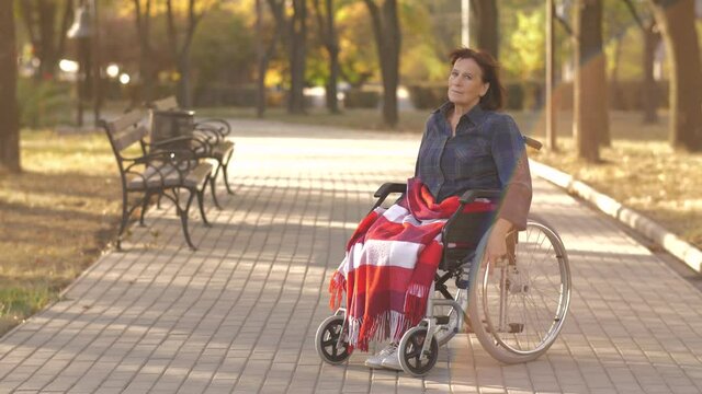 Portrait of disabled woman on wheelchair at the park