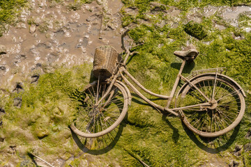 A discarded bicycle with a wicker basket to the canal, a typical example of environmental pollution in the city