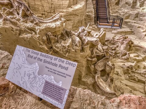 Mammoth Fossil Dig Site In Hot Springs, South Dakota