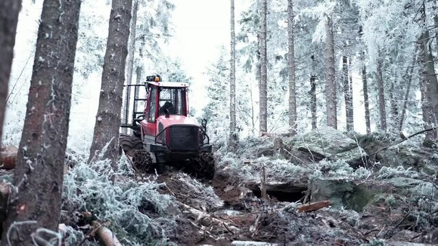 Logging Machine in the woods. Forest machinery, Cutting trees