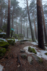 Area recreativa puerto de Canencia nevado