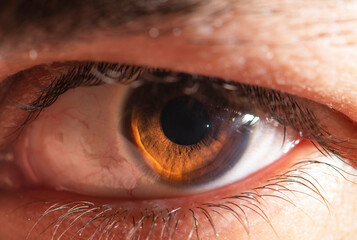 Beautiful close-up human eye. Macro photography.