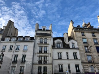 Fototapeta na wymiar Parisian buildings against a blue sky