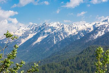 Snow-capped mountains and green forest. The Caucasus mountain range. Spring bright sunny day in the mountains. Colorful landscape in spring.The concept of ecotourism, travel, winter outdoor activities