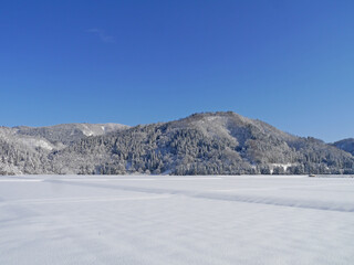 Obraz premium 秋田の積雪