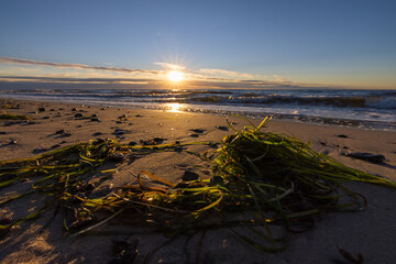 Sonnenuntergang am Weststrand. Fischland Darß