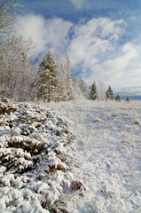 558-48 Winter Newport Shore