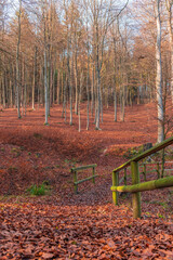 Wandern in der Natur