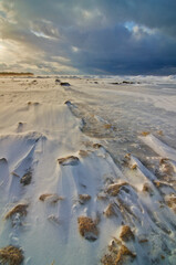 558-75 Snow Blow