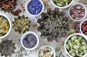Assortment of dried herbs: blossom, root and seed, flat on the table, lavender, chamomile, lime, rose, cornflower, meadowsweet, thyme and others overhead top view, naturopathy and medicine concept