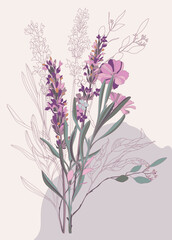 
Botanical sketch of lavender flowers with leaves on an abstract background