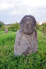 Stone idol in the steppe. National Park