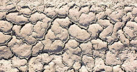 The texture of dried earth . Drought, earth cracks, natural disasters.