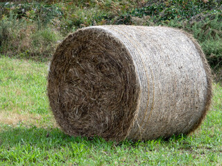 bales of hay