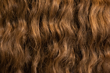 Close up of natural wavy hair, Beautiful curl hairstyle of brown hair, hair texture