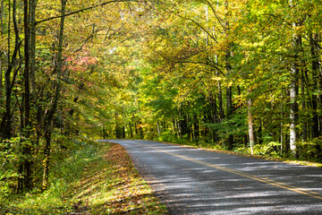 Roadway Meandering Through the Autumn Appalachian Mountains Along the Blue Ridge Parkway