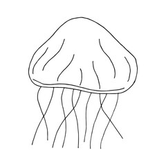 Doodle jellyfish. hand drawn of a jellyfish isolated on a white background. Vector illustration sticker, icon, design element