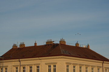 Roofs and chimneys of Prague 6, and area of old and luxury buildings in the district of Prague 6, czech Republic.