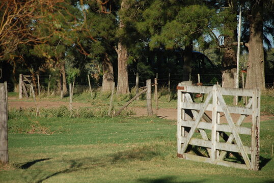 Nuestras pampas