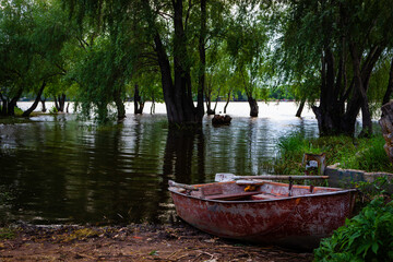 Boat on the bank of the swollen river under trees. 
