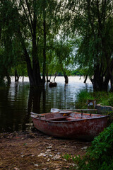 Boat on the bank of the swollen river under trees. 