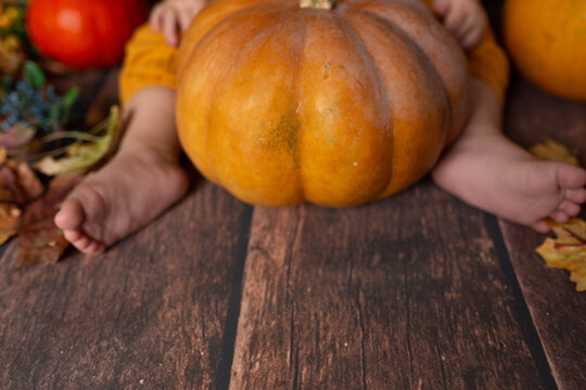 yellow small pumpkin in the hands of a child