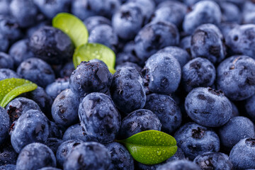 Fresh blueberries background with copy space for your text. Vegan and vegetarian concept. Macro texture of blueberry berries.Texture blueberry berries close up