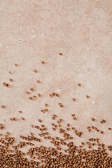 Buckwheat groats close up. Grains of raw buckwheat as a abstract background texture.