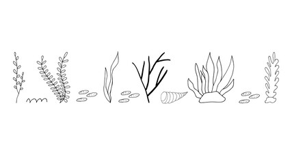 Doodle seaweed with shells and stones. hand drawn of a seaweed with shells and stones isolated on a white background. Vector illustration sticker, icon, design element