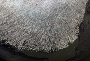 Groenlandia. Glaciar