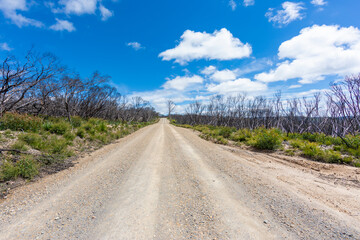A long dry dirt road in Kanangra-Boyd National Park in regional Australia