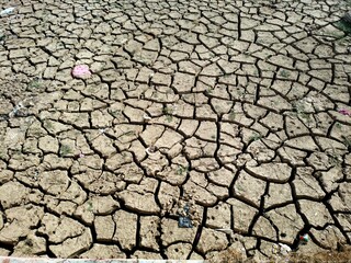The barren land dried up during the hot summer season. Farmers are facing difficulties in growing crops without water.