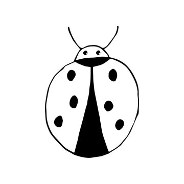 Doodle ladybug. hand drawn of a ladybug isolated on a white background. Vector illustration sticker, icon, design element